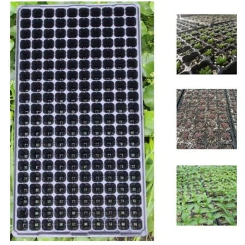 Nursery Seed Tray - 30 Pack - 200 Holes Or Cells