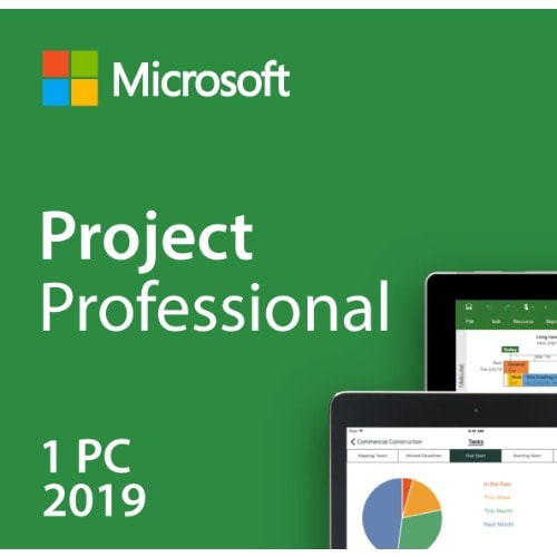 Microsoft Project Professional 2019-1 User Binding