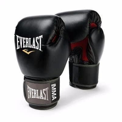 Everlast Boxing Gloves