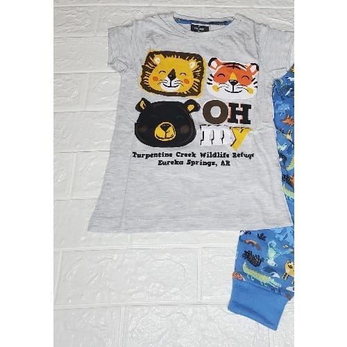 Character Kids Casual/sleepwear Set