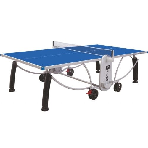 Outdoor Table Tennis