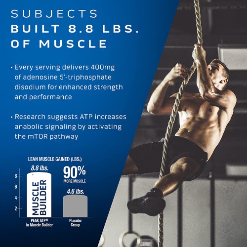Muscletech - Platinum Muscle Builder -400mg - 30 Capsules
