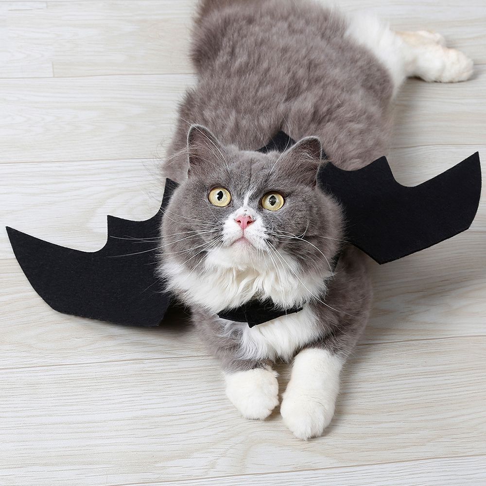 Halloween Decoration Pet Dog Cat Black Bat Wings Cute Pets