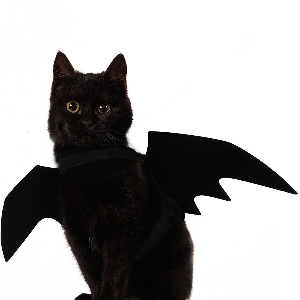 Halloween Decoration Pet Dog Cat Black Bat Wings Cute Pets