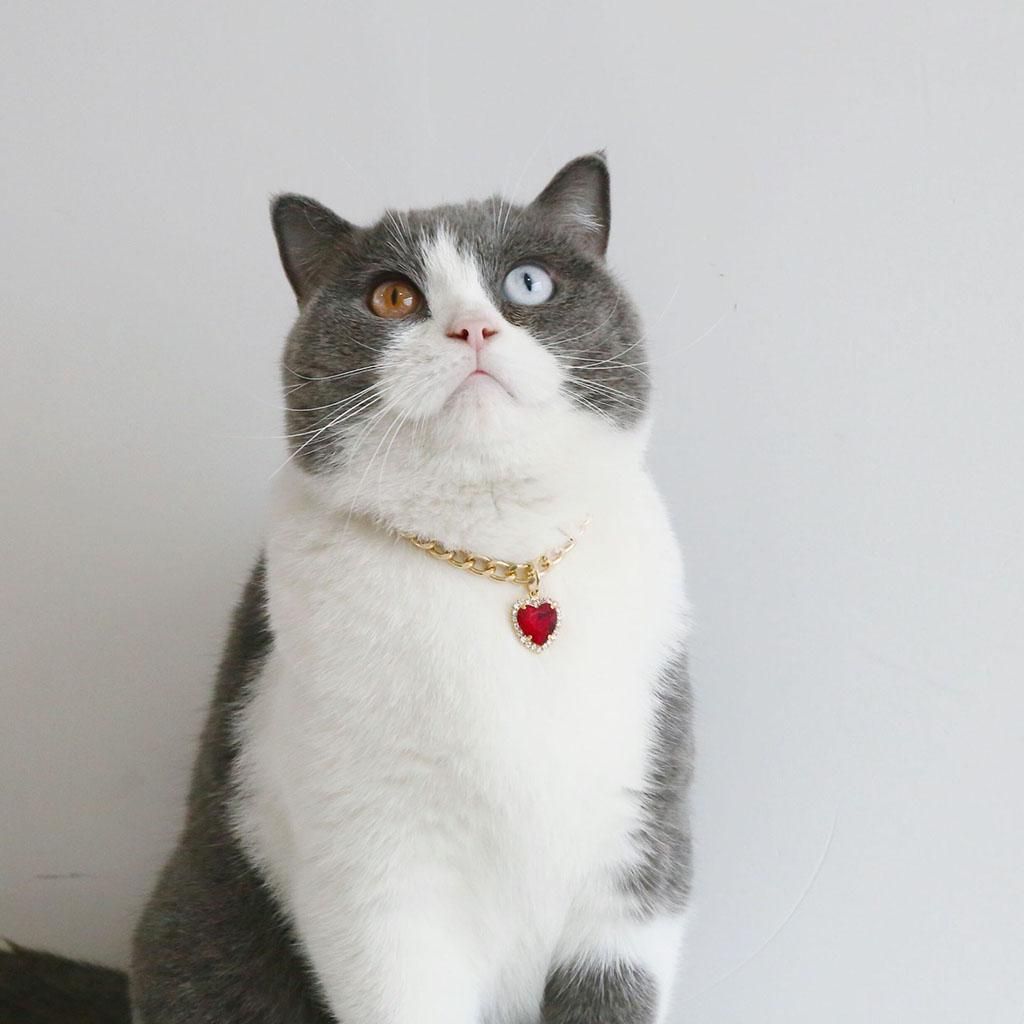 Gem Cat Collar Diamond Cat Dog Collar With Bling Charm Rhinestones Red