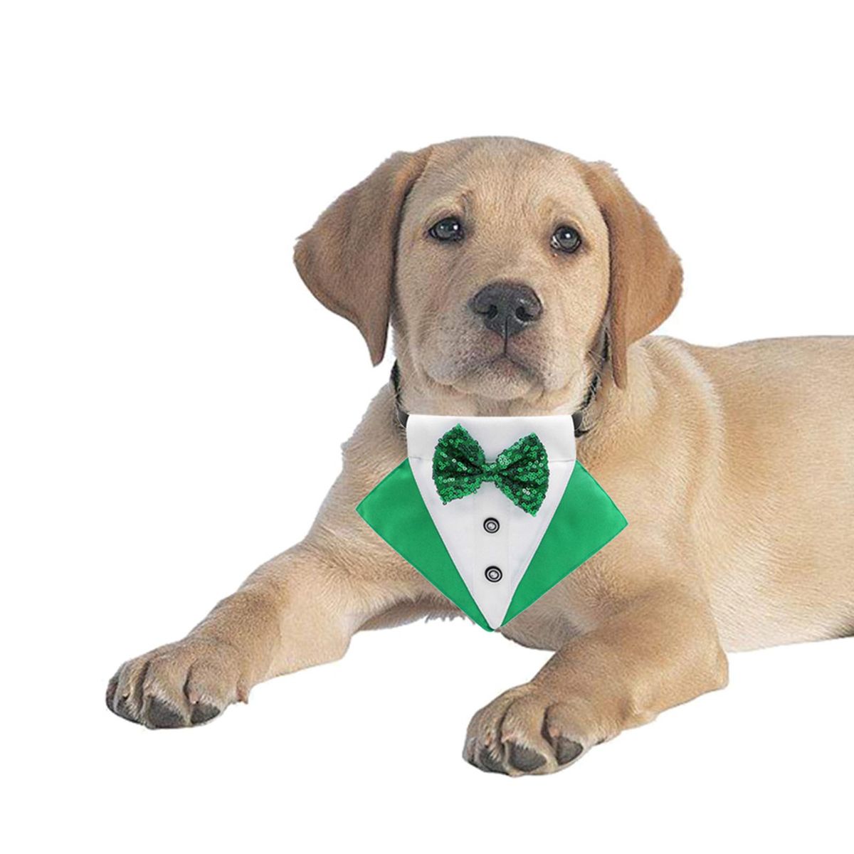 Dog Bandana Collar With Bow Tie St. Patrick's Day Green White S