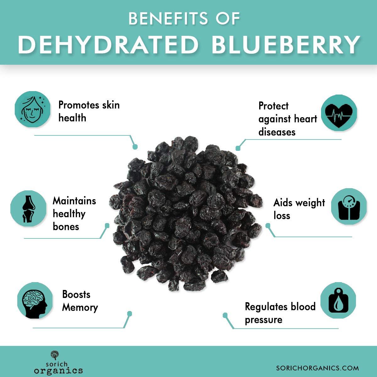 Organic Blueberries Unsweetened -125g