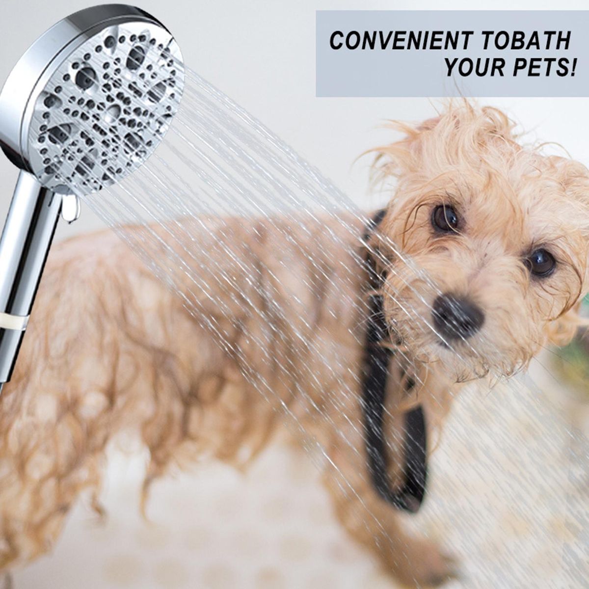 Shower Head Viewable Window Shower Head Silver