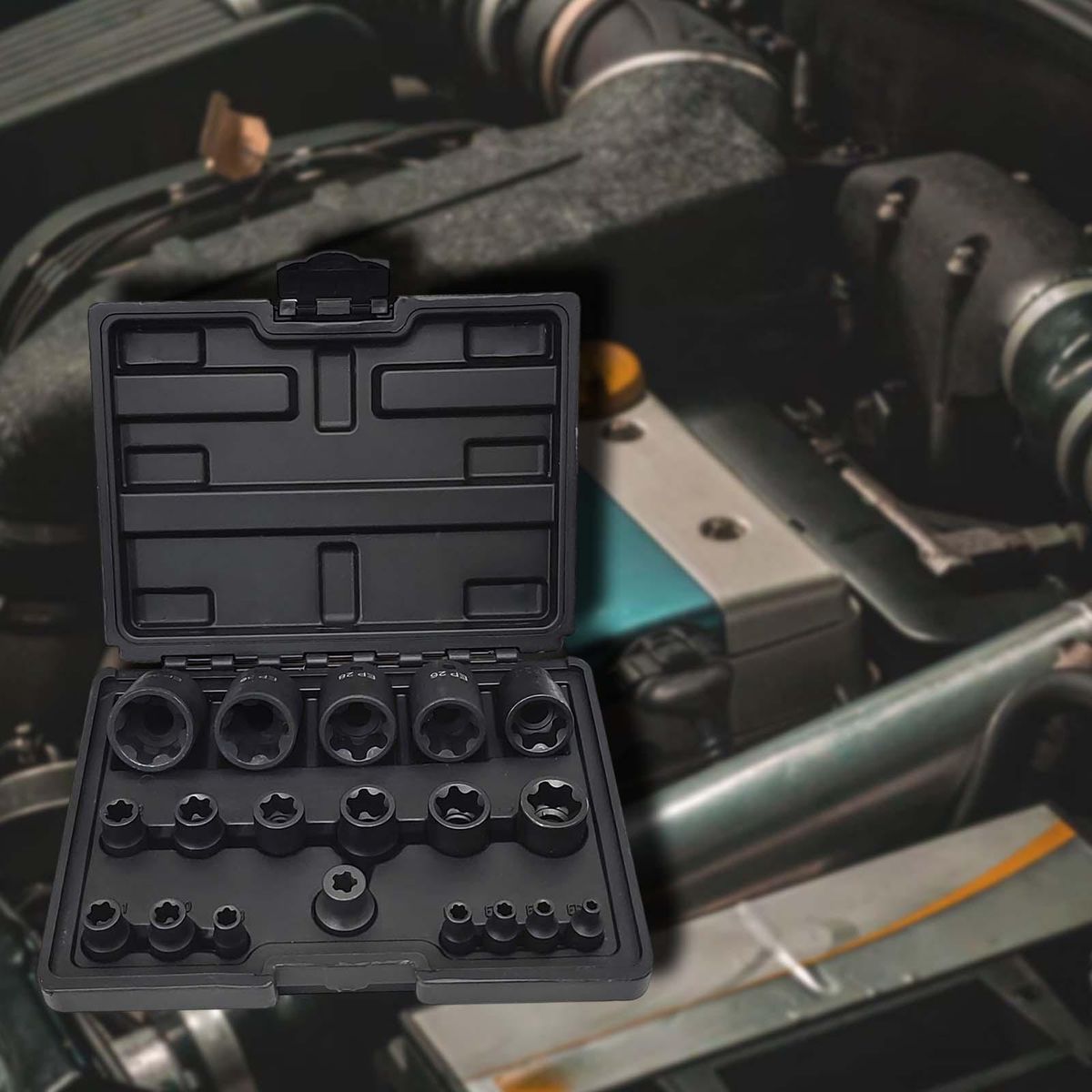 19 Pieces EP Socket Set -Ep32 Sturdy With 1/2'' 3/8'' 1/4'' DR 6