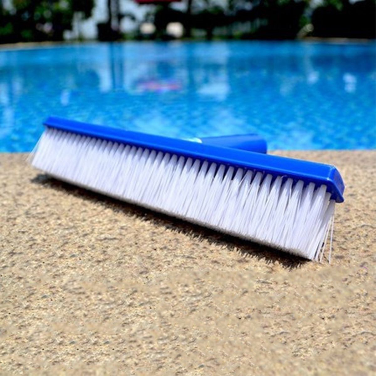 Swimming Pool Brush Heavy Duty Scrubbing Power Aquarium