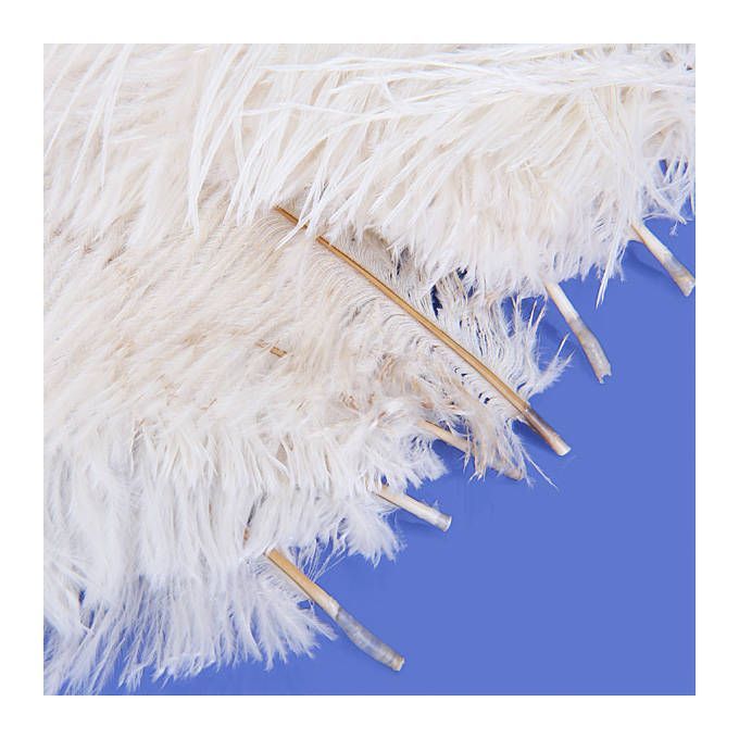 10pcs White Ostrich Feathers Embellishment For Wedding Decoration 6