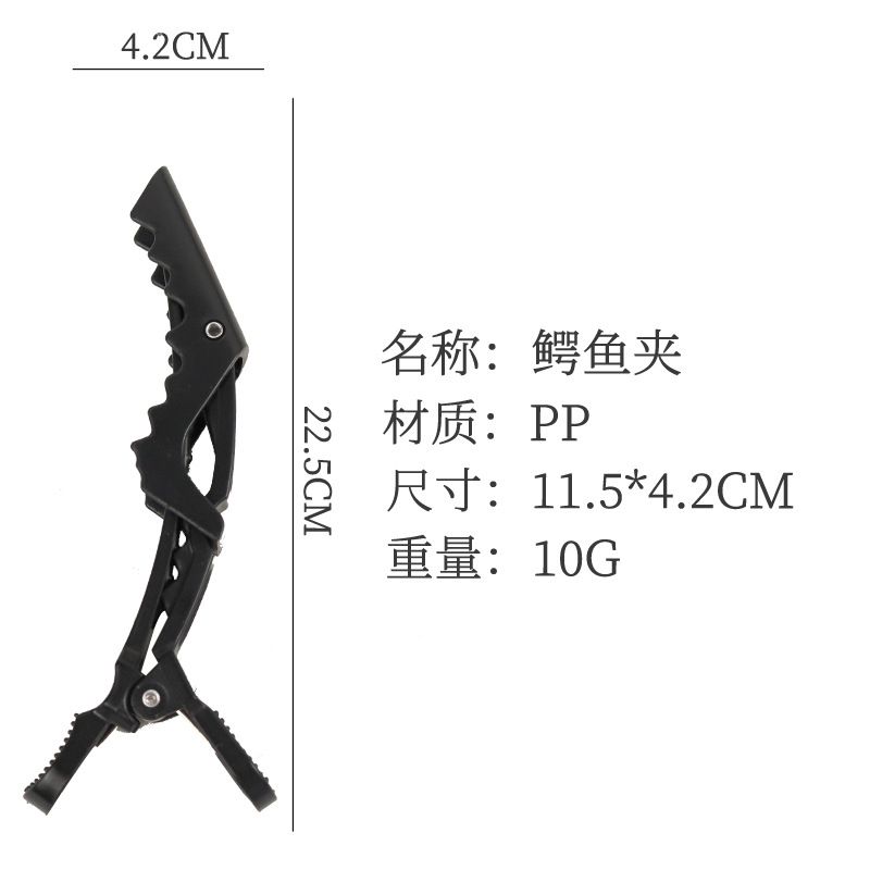 Wholesale Eight-claw Comb Home Ladies Smooth Hair Comb Dry