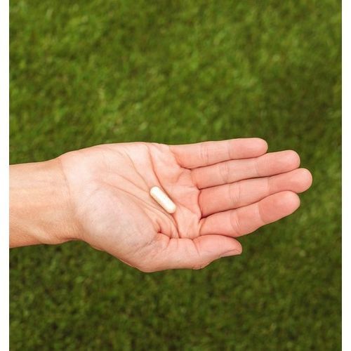 Gut Prep Prebiotics 31 Capsule
