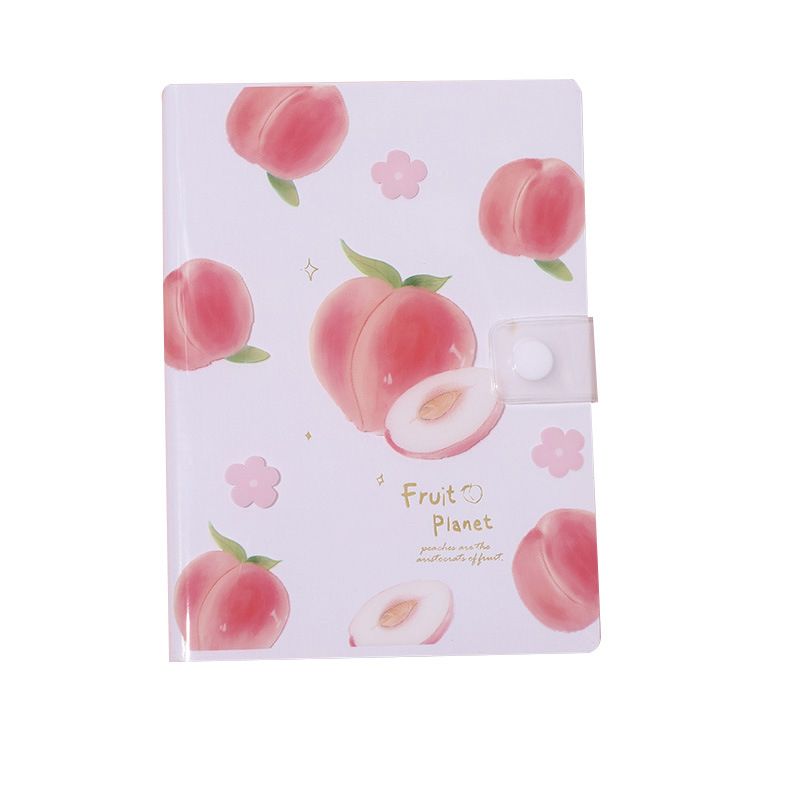 Notebooks0093094