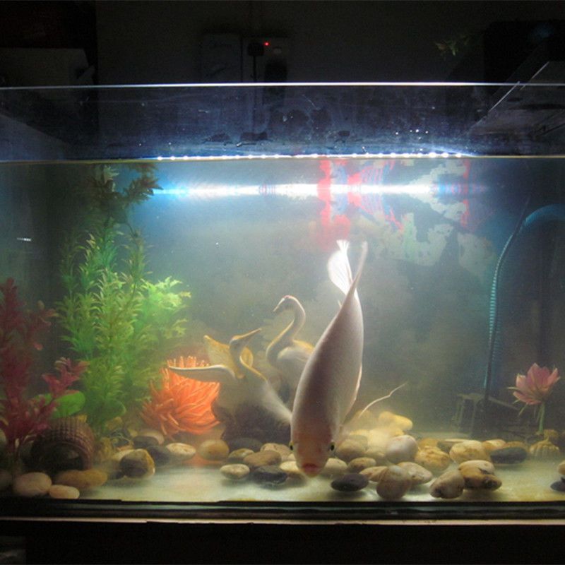12V Aquarium Tropical Fish Tank Waterproof 5050 SMD 57cm 30leds Light Bar Lamp Submersible Strip Lighting 4.5W