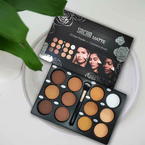 12 In 1 Professional Powder Pallette + Single Brush