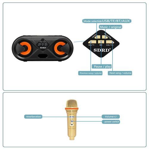 SD303 Dual Bluetooth Speaker With 2 Wireless Microphones Outdoor Family KTV Stereo Mic Big Sound 20W SDRD Sd 303 Speaker Set