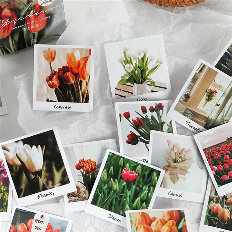 160Pcs Ins Style Dots Flowers Mini Box Stickers Planner