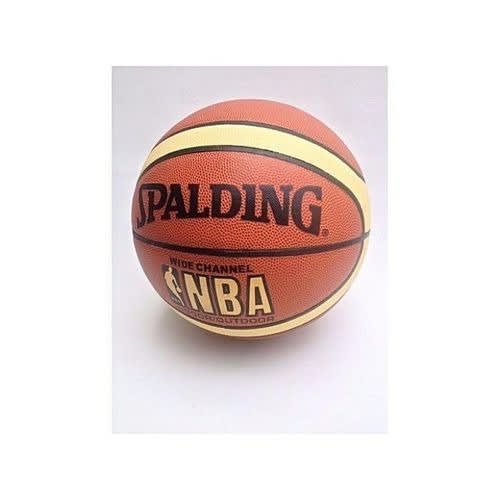 Professional Basketball
