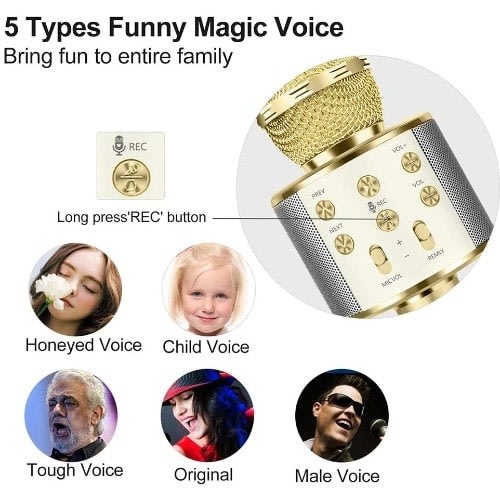 Handheld Wireless Karaoke Microphone With Bluetooth Speaker
