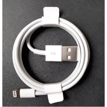 iPhone Charger