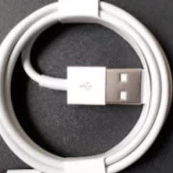 iPhone Charger