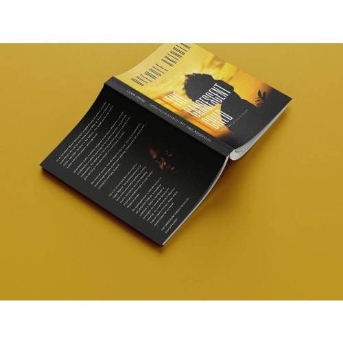 The Candescent Child By Oyewole Akinola