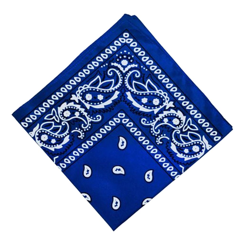Paisley Bandana Cowboy Head Scarf Head  Blue
