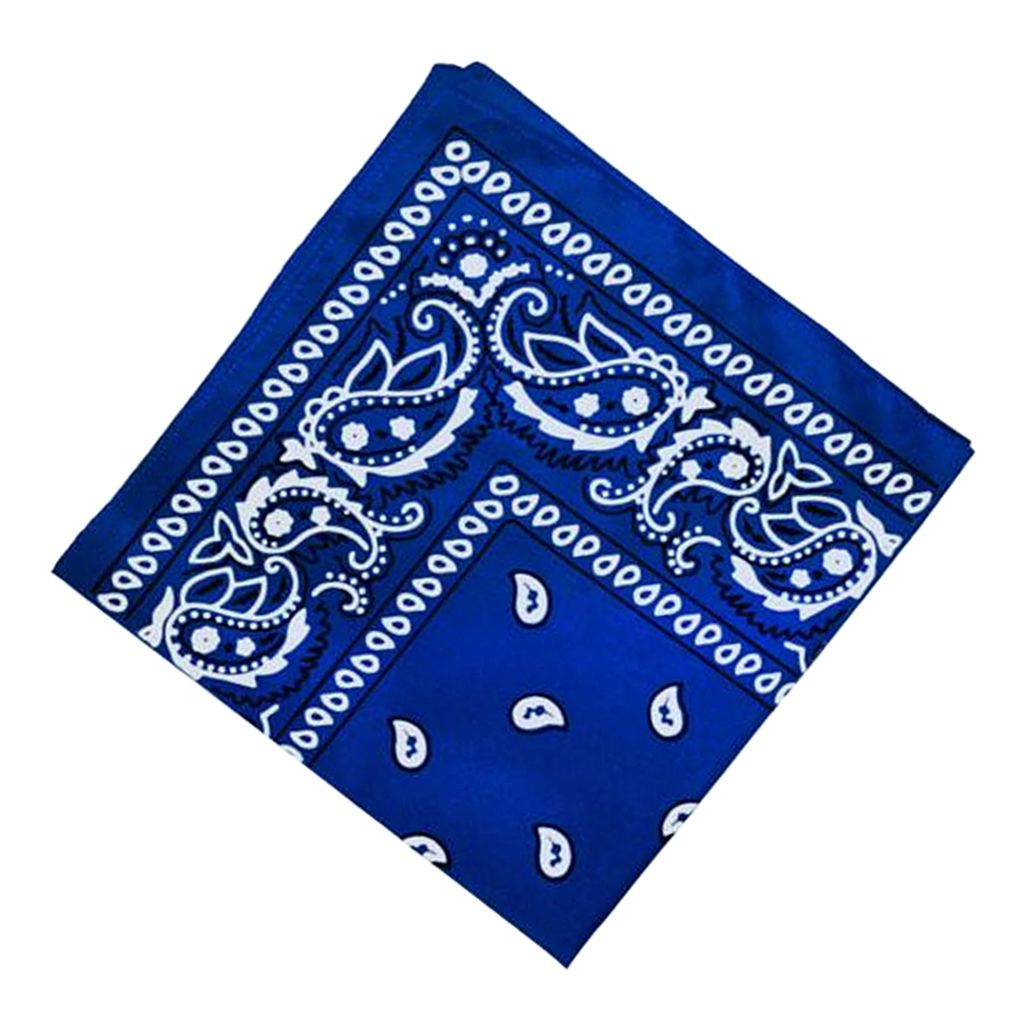 Paisley Bandana Cowboy Head Scarf Head  Blue