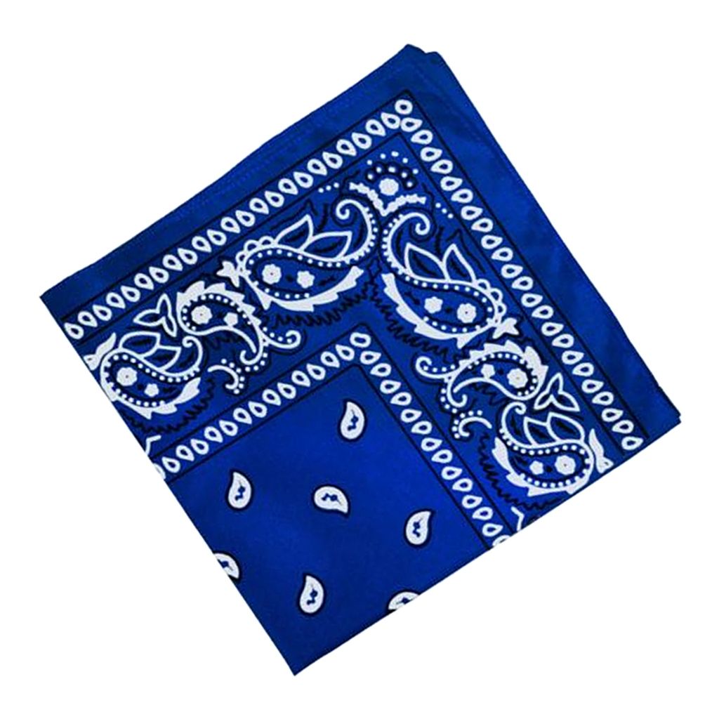 Paisley Bandana Cowboy Head Scarf Head  Blue