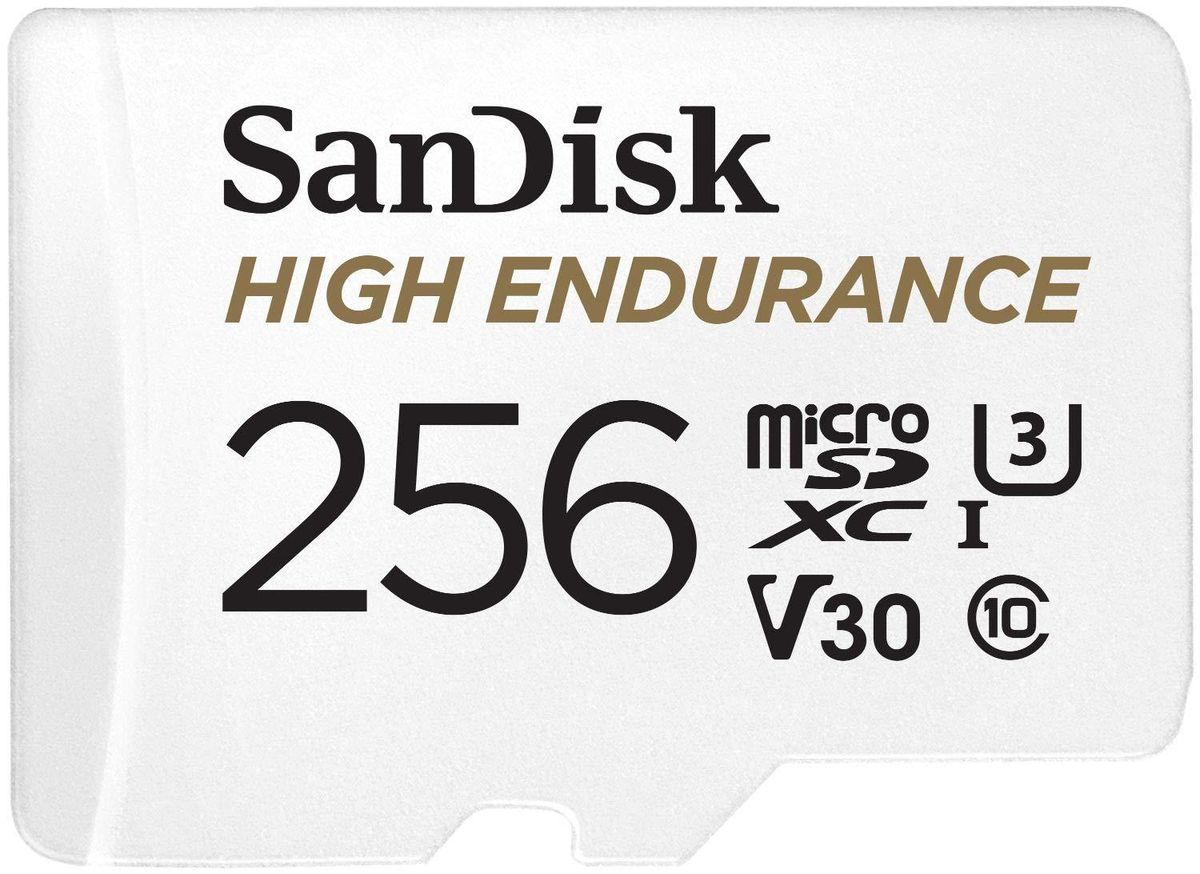 San-disk High Endurance 256GB MicroSDHC Card
