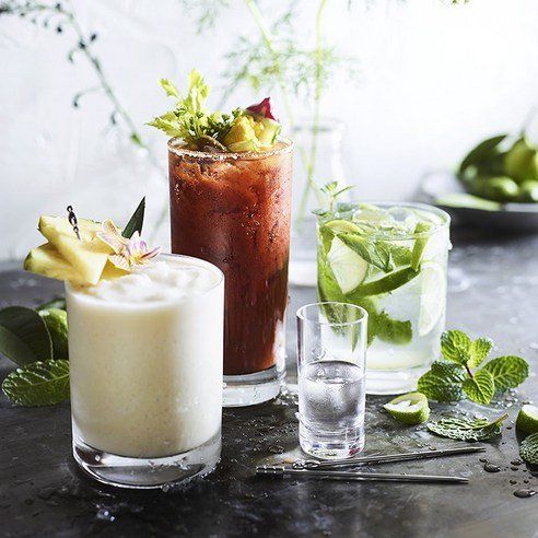 Williams Sonoma WS Encore Highball Cup 533ml