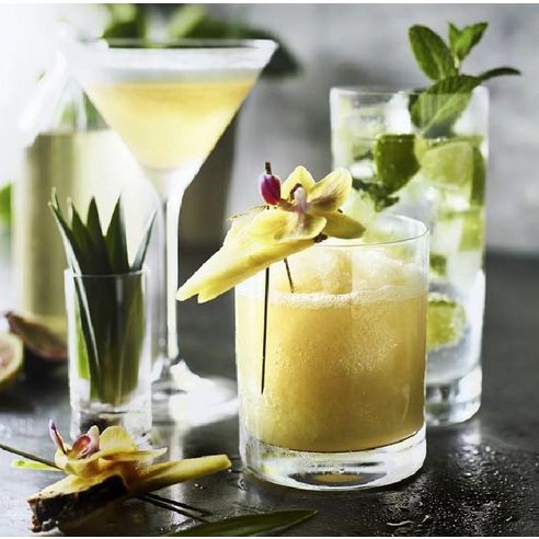 Williams Sonoma WS Encore Highball Cup 533ml