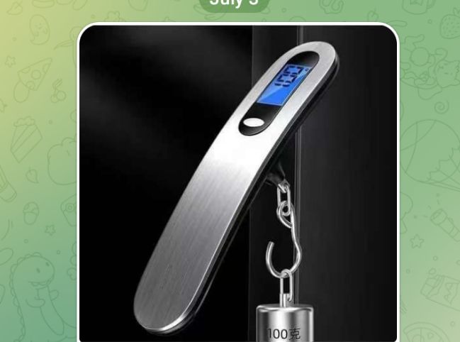 Portable Personal Luggage Digital Scale