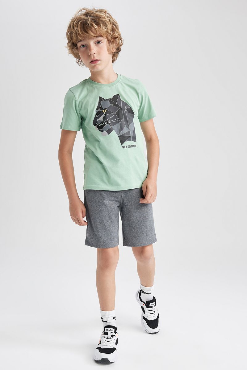 2 Piece Boy Casual Regular Fit Long Sleeve Knitted Set - Green
