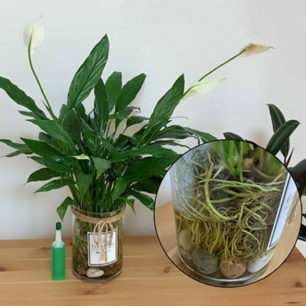 12pcs Hydroponic Fertilizer Nutrient Solutions