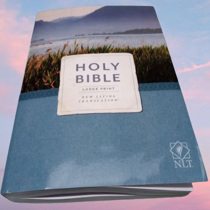 New Living Translation Outreach Bible, Large Print Edition