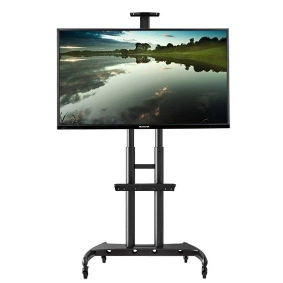 Professional Mobile Tv Stand For 55''-80''