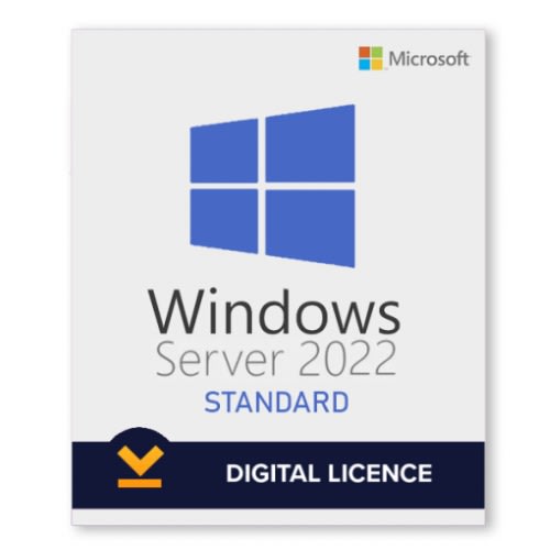 Microsoft Windows Server 2022 Standard Edition-1 User