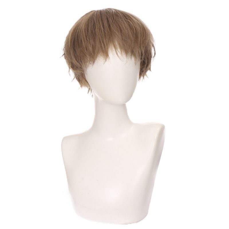 Men's Wigs Short Curly Linen Brown Natural Messy Realistic Head Spin