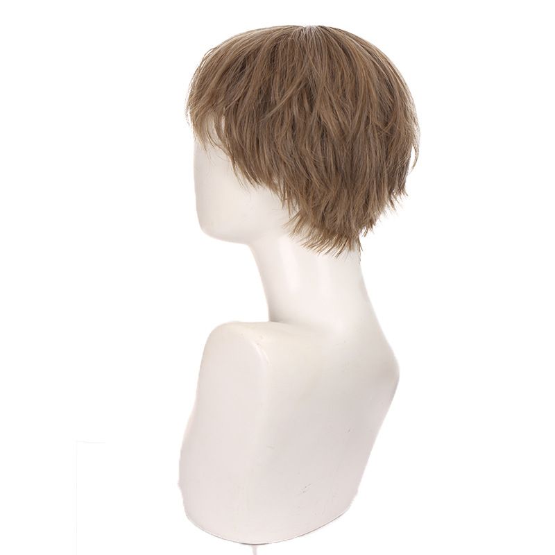 Men's Wigs Short Curly Linen Brown Natural Messy Realistic Head Spin