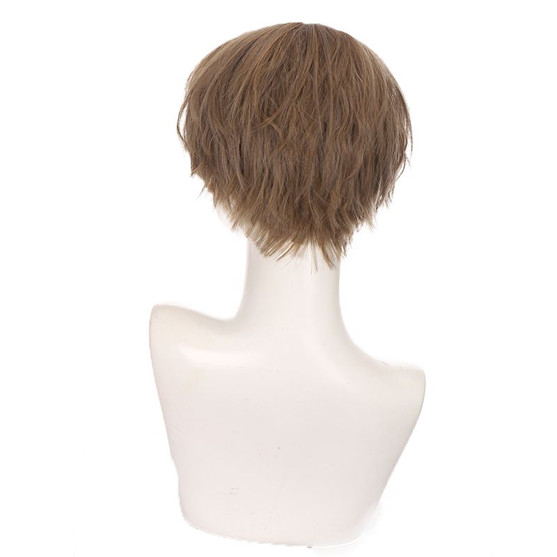 Men's Wigs Short Curly Linen Brown Natural Messy Realistic Head Spin