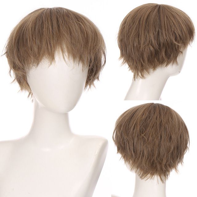 Men's Wigs Short Curly Linen Brown Natural Messy Realistic Head Spin