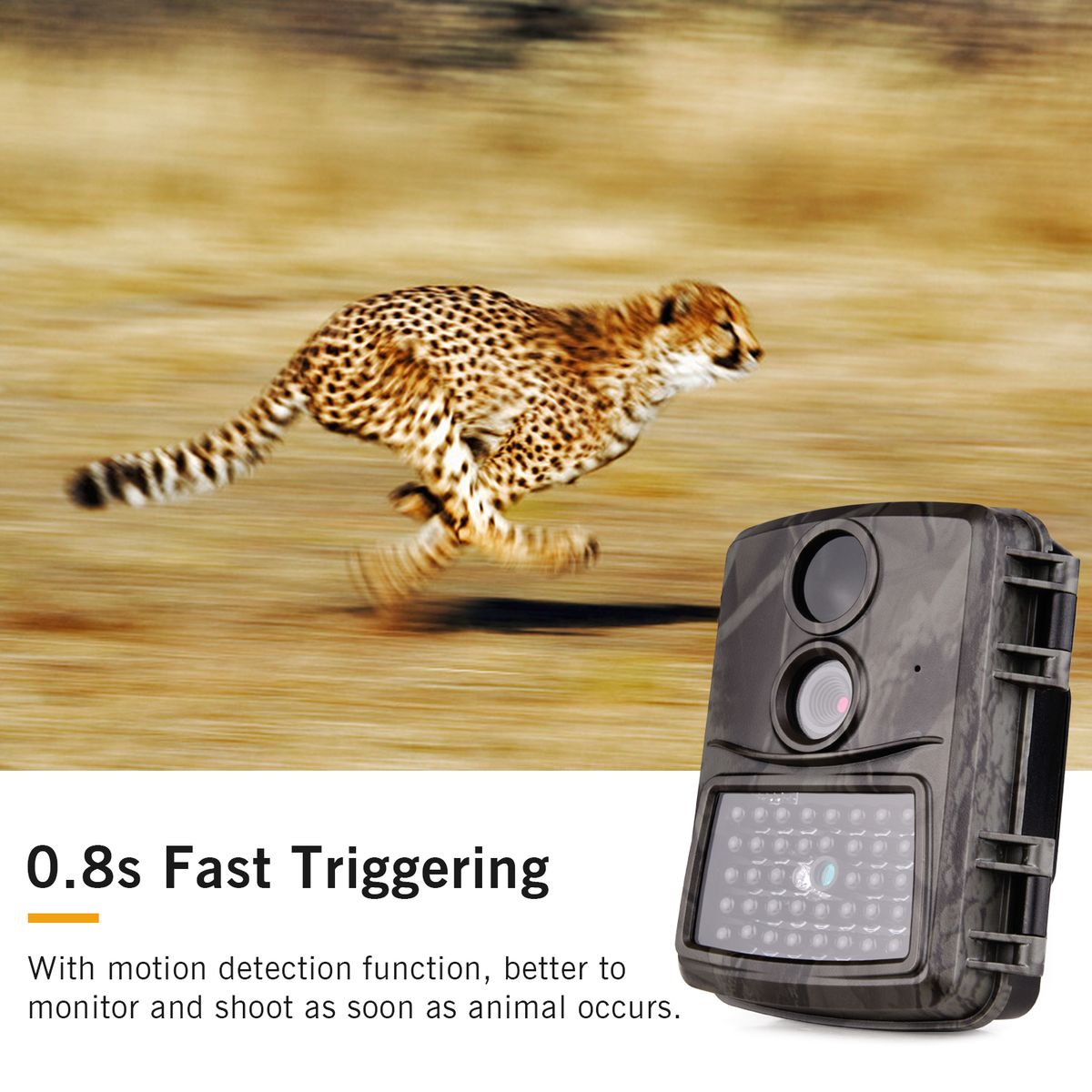 Wildlife Trial Camera FHD1080P 0.8s Triggering IR Night