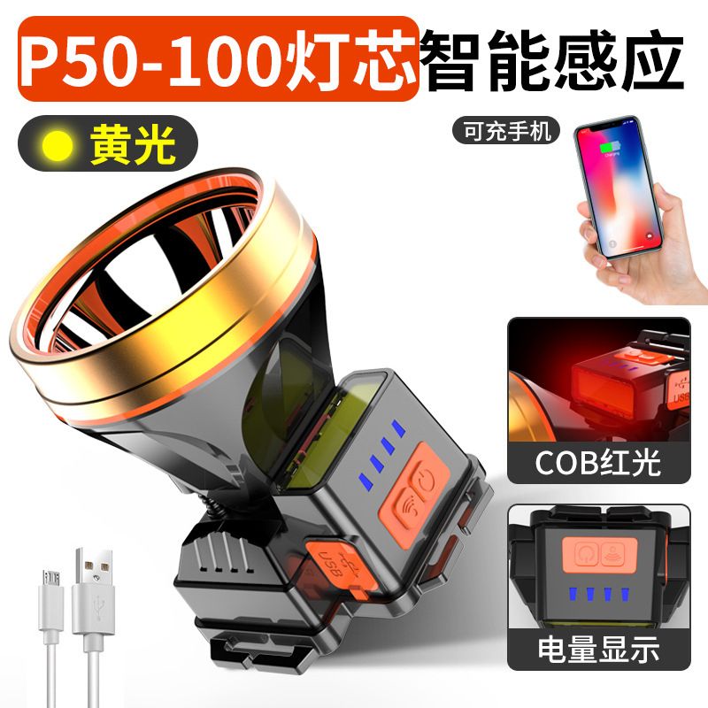 Induction Led Glare Rechargeable Headlight Dual Lithium