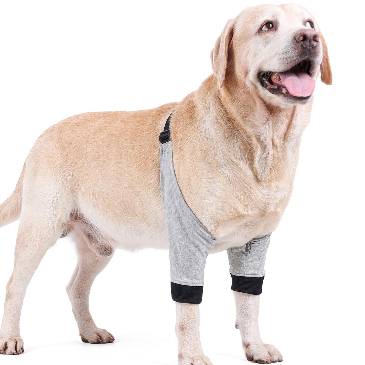 Dog Elbow Protector Front Leg Sleeve Adjustable Pet Operation Injury Recovery Protective Brace 1 Pair