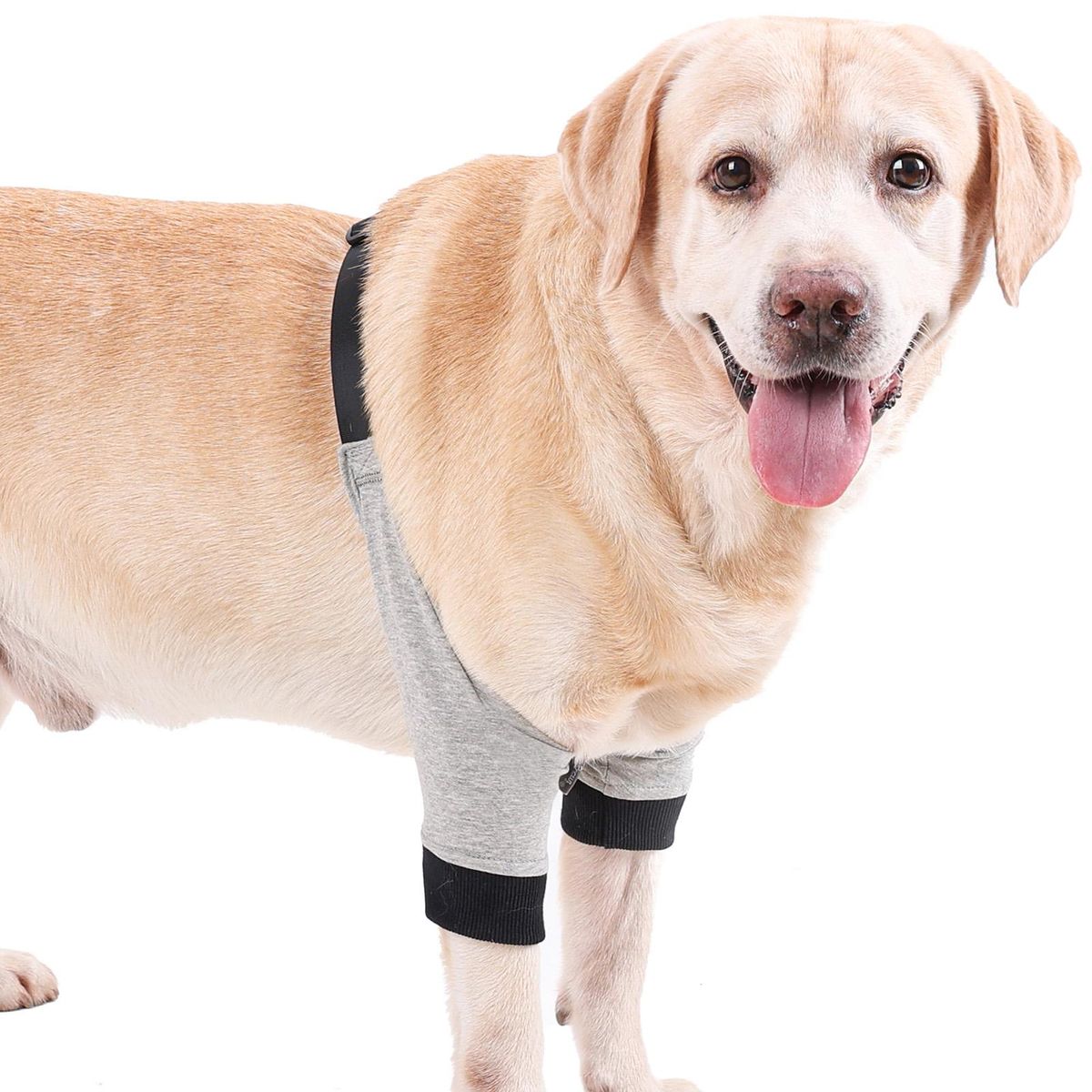 Dog Elbow Protector Front Leg Sleeve Adjustable Pet Operation Injury Recovery Protective Brace 1 Pair
