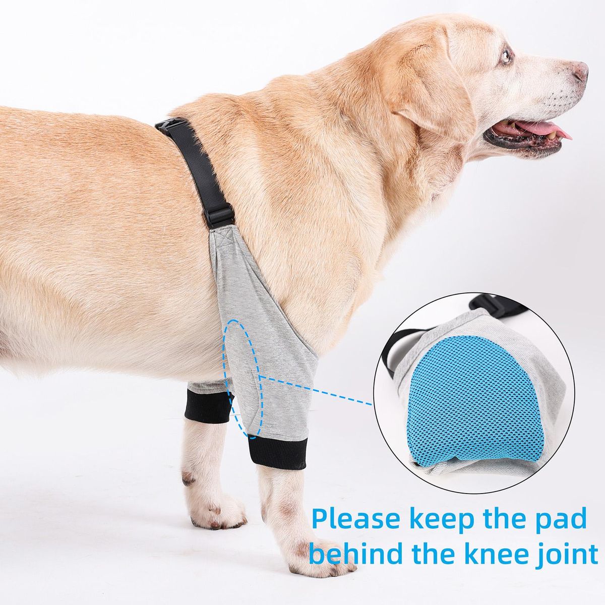 Dog Elbow Protector Front Leg Sleeve Adjustable Pet Operation Injury Recovery Protective Brace 1 Pair
