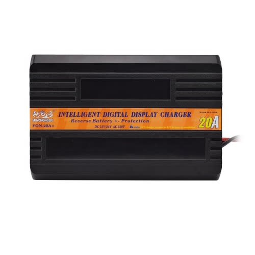 12V / 20A Car & Inverter Battery Charger