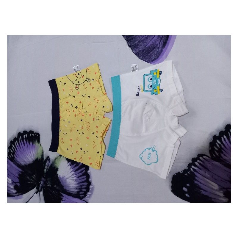 2 Pieces Cotton Character Boys Boxers